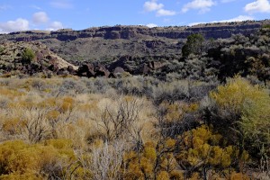DSCF0939 (1)    
